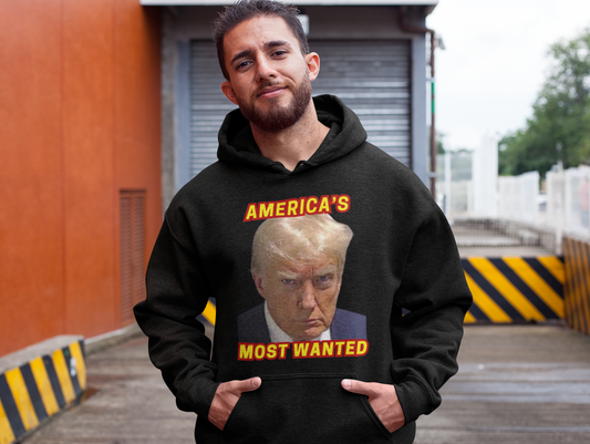 .. TRUMP MUG SHOT Heavy Weight Patriotic Hoodie (S-5XL):  Men's Gildan 18500 - FREE SHIPPING